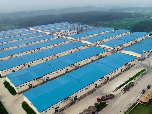 營口溝沿國家儲備糧庫項目